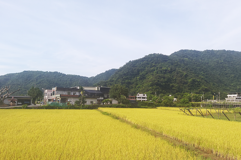 伊甸公益MaLL真空包裝稻米背面營養標示